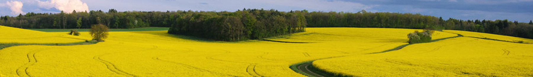 agricultural real estate professionals